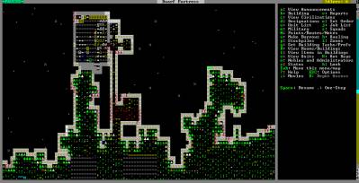 Dwarf Fortress v0.42.05 [Rus / Eng] (2006)